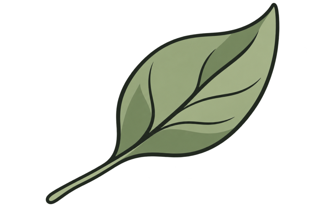 stylized sage green leaf icon.png
